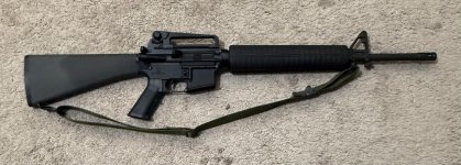 IMG_0174.jpeg IMG_0174.jpeg