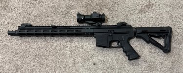 IMG_0175.jpeg IMG_0175.jpeg