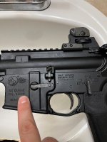 IMG_5561.jpeg IMG_5561.jpeg