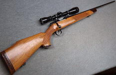 sako- l461 vixen.jpg