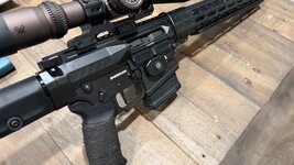 IMG_0534.jpeg IMG_0534.jpeg