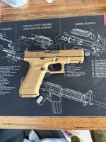 IMG_6032.jpeg IMG_6032.jpeg