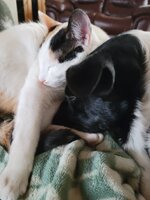 Resized_20211225_134845 (1).jpeg