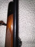 Win. Mod. 70 Safari Express 375 HH Mag - 4.jpg
