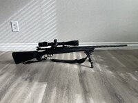 IMG_7459.jpeg IMG_7459.jpeg