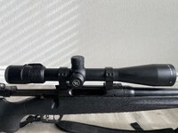 IMG_7461.jpeg IMG_7461.jpeg