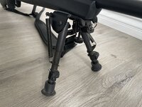 IMG_7465.jpeg IMG_7465.jpeg