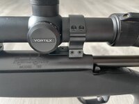 IMG_7463.jpeg IMG_7463.jpeg