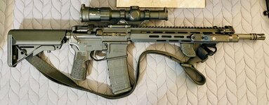 IMG_2568.jpeg IMG_2568.jpeg