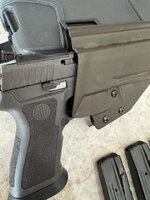 P320 Optics Ready.jpg