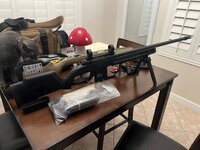 IMG_5398.jpeg IMG_5398.jpeg