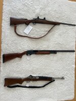 IMG_9983.jpeg IMG_9983.jpeg