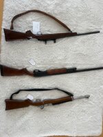 IMG_9984.jpeg IMG_9984.jpeg