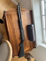 IMG_4994.jpeg IMG_4994.jpeg