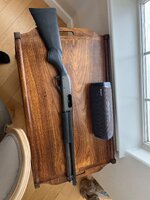 IMG_4992.jpeg IMG_4992.jpeg