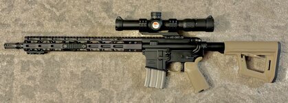 IMG_7239.jpeg IMG_7239.jpeg