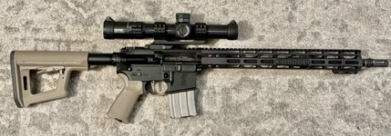 IMG_7240.jpeg IMG_7240.jpeg