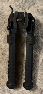 IMG_7245.jpeg IMG_7245.jpeg