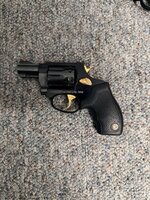 IMG_4459.jpeg IMG_4459.jpeg