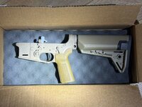 IMG_7302.jpeg IMG_7302.jpeg