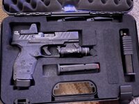 IMG_9753 (1).jpeg IMG_9753 (1).jpeg