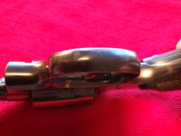 20260423_145016 (Large).jpg