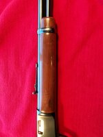 20260423_150010 (Large).jpg