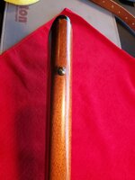 20260423_150616 (Large).jpg