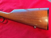 20260423_151211 (Large).jpg