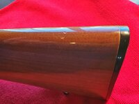 20260423_151356 (Large).jpg