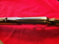 20260423_151432 (Large).jpg