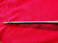 20260423_151520 (Large).jpg