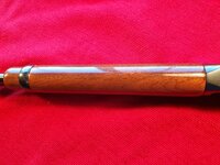 20260423_151559 (Large).jpg