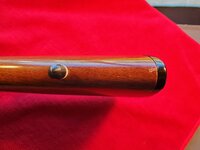 20260423_151624 (Large).jpg