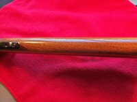 20260423_151638 (Large).jpg