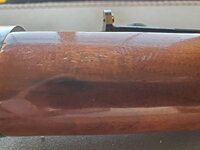 20260425_134129 (Large).jpg