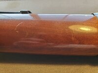 20260425_134205 (Large).jpg