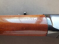 20260425_134304 (Large).jpg