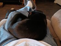 IMG_20260424_092406433.jpg