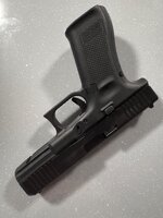 IMG_7599.jpeg