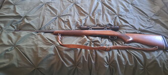 20260408_114519.jpeg