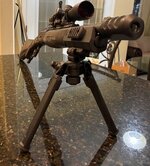 IMG_3039.jpeg