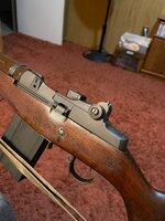 IMG_8456.jpeg