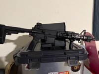 IMG_3533.jpeg