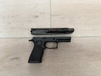 IMG_4556.jpeg