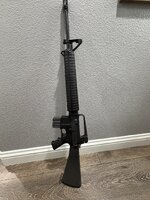 IMG_5331.jpeg