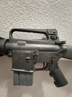 IMG_5332.jpeg IMG_5332.jpeg