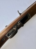 IMG_2365.jpeg