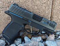 P365R.jpg