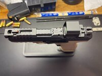 IMG_2242.jpeg